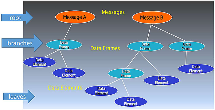 This slide shows a graphic that illustrates the inverted tree-like structure of information contained in messages that are exchanged between systems. Please see the Extended Text Description below.