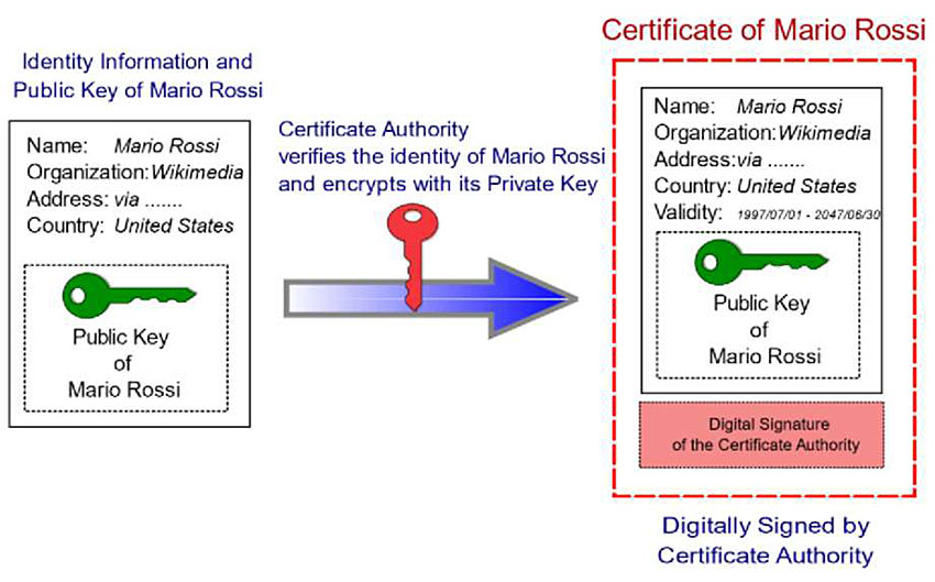 Author’s relevant description: This slide shows an image from Wikimedia that depicts the public key of "Mario Rossi" along with his contact information. The key is transmitted using a certificate authority that verifies the identity of Mario Rossi and encrypts the message with its private key producing a larger packet that includes the original public key and contact information, with an added validity time and a digital signature of the certificate authority.