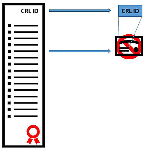 Author’s relevant description: This slide shows the same example image of a CRL but shows the CRL ID being checked and then zooms in on a specific revoked certificate and shows that the CRL ID must be authorized to revoke each certificate in its list.