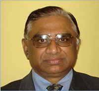 Photo of Raman K Patel, Ph.D., P.E., President, RK Patel Associates, Inc.