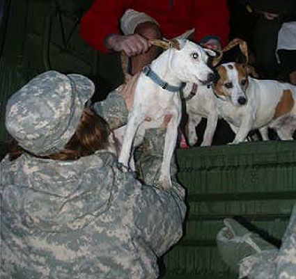 A photo on the right side of a person handing a member of the New Jersey National Guard a dog as another dog waits to be let down.