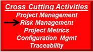 Red pullout box labeled Cross Cutting Activities, with items: Project Management, Risk Management (black arrow pointing to this), Project Metrics, Configuration Mgmt, Traceability.